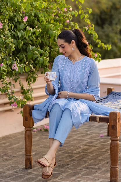 Powder Blue Embroidery Mul Cotton Suit